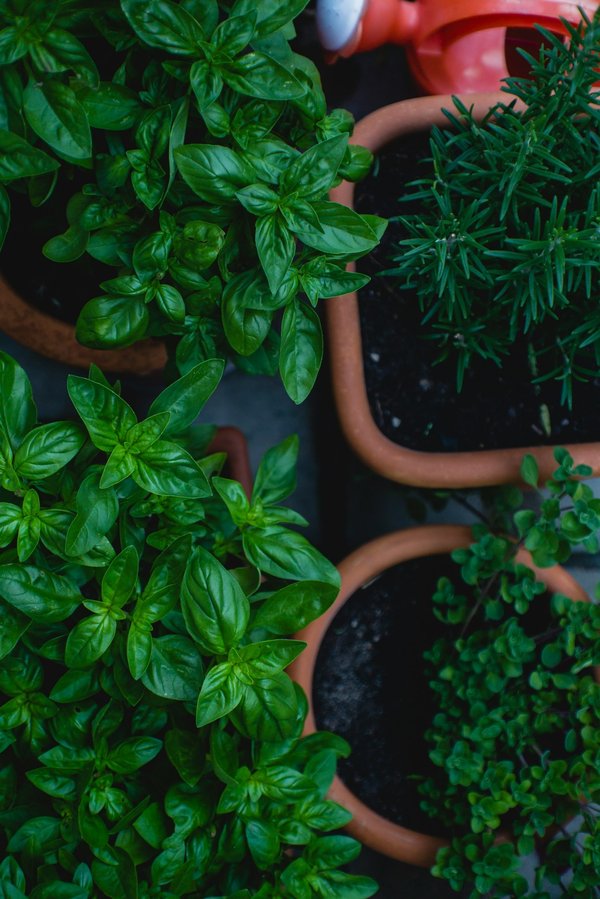 How can integrating a herb drying rack in your kitchen facilitate the use of fresh, homegrown herbs?